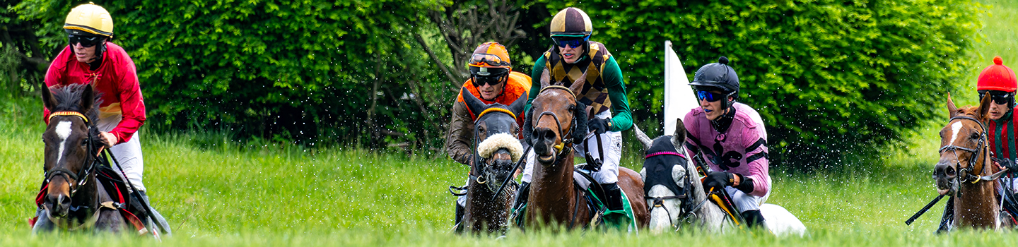 Horses and Riders